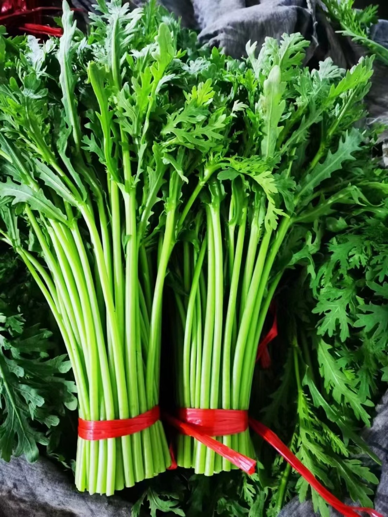 【优选】新鲜光杆小叶茼蒿皇帝菜对接市场电商商超