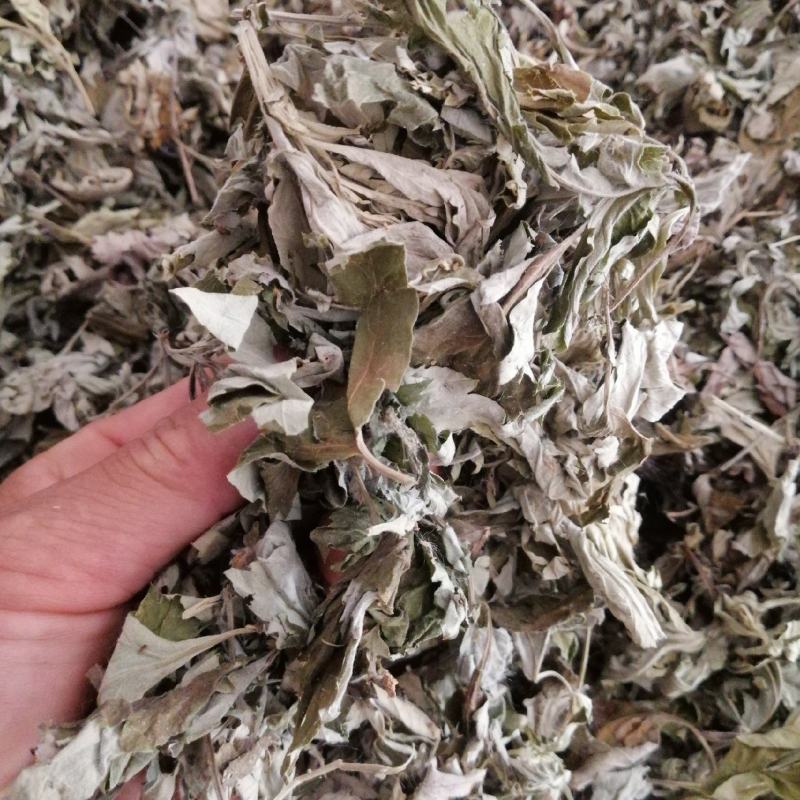 野生大白叶艾湖北蕲艾干艾叶中药草新艾陈艾批零干艾草包邮