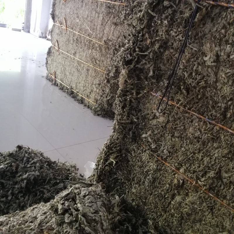 野生大白叶艾湖北蕲艾干艾叶中药草新艾陈艾批零干艾草包邮