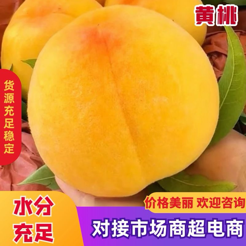 精品锦绣黄桃，品种齐全一手货源，口感纯甜，现摘现发！！！