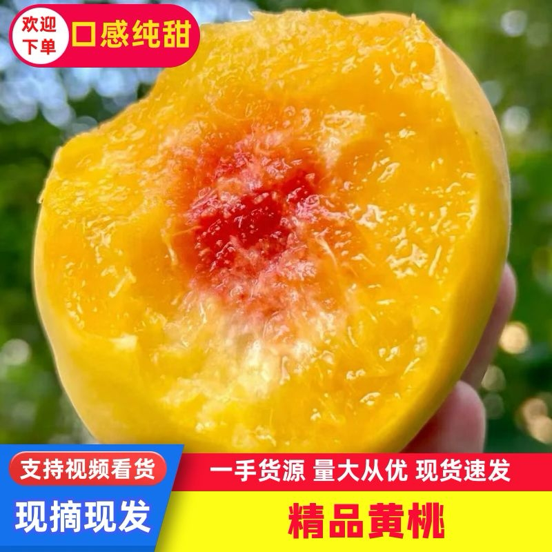 贵州锦绣黄桃-产地直发一手货源电商市场商超工厂大量供应