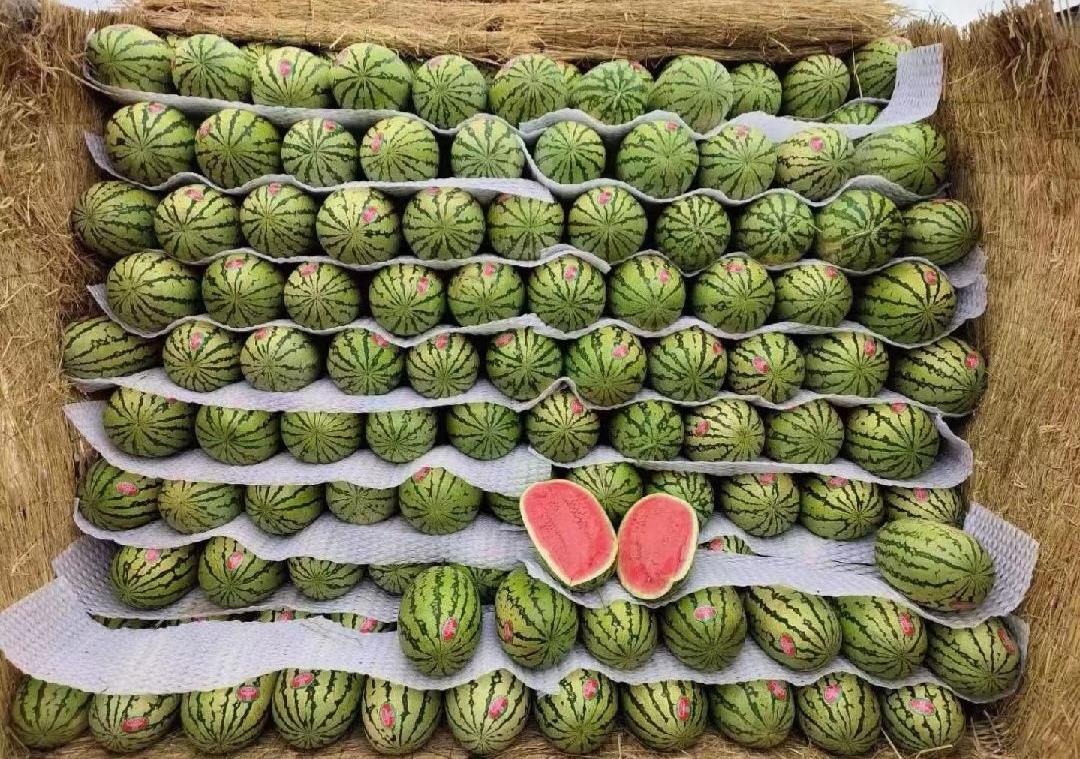 市场摊位上的黄瓤西瓜展示