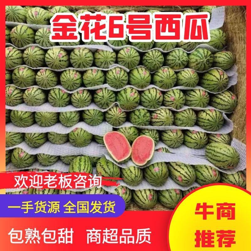 【推荐】宁夏金花6号西瓜代办包熟包甜耐运输量大从优