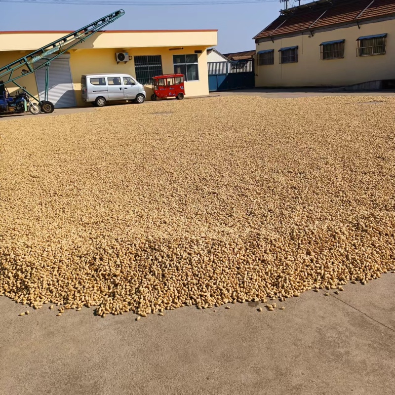 新产带壳花生大量有货，对接全国市场电商平台量大优惠