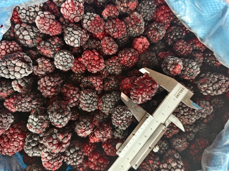 冷冻黑莓