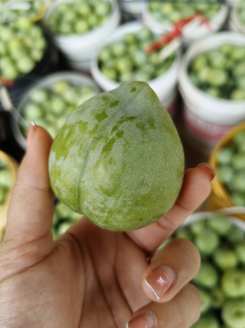 奈李