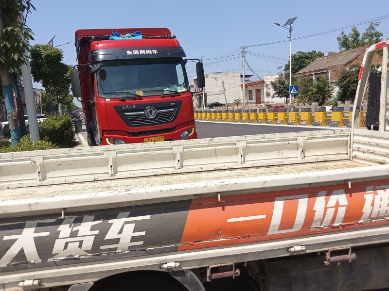 青桑叶