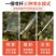 喷雾器农用打药机手压式家用清洁消毒大喷壶浇花气压式高压喷