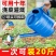 浇花喷壶喷雾瓶晒水壶气压式喷壶器压力园艺家用浇水壶高压喷