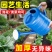 浇花喷壶喷雾瓶晒水壶气压式喷壶器压力园艺家用浇水壶高压喷