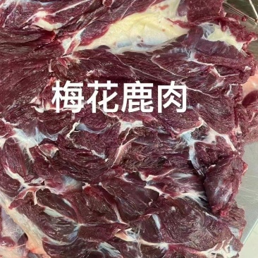 精品梅花鹿肉大量现货量大从优质量保证欢迎咨询