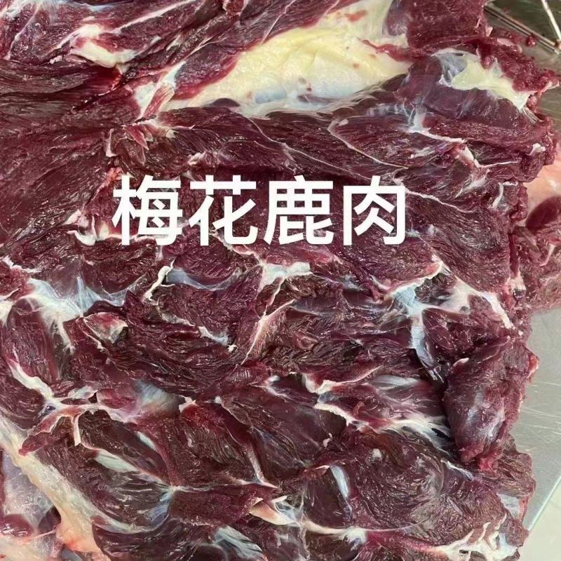 精品梅花鹿肉大量现货量大从优质量保证欢迎咨询