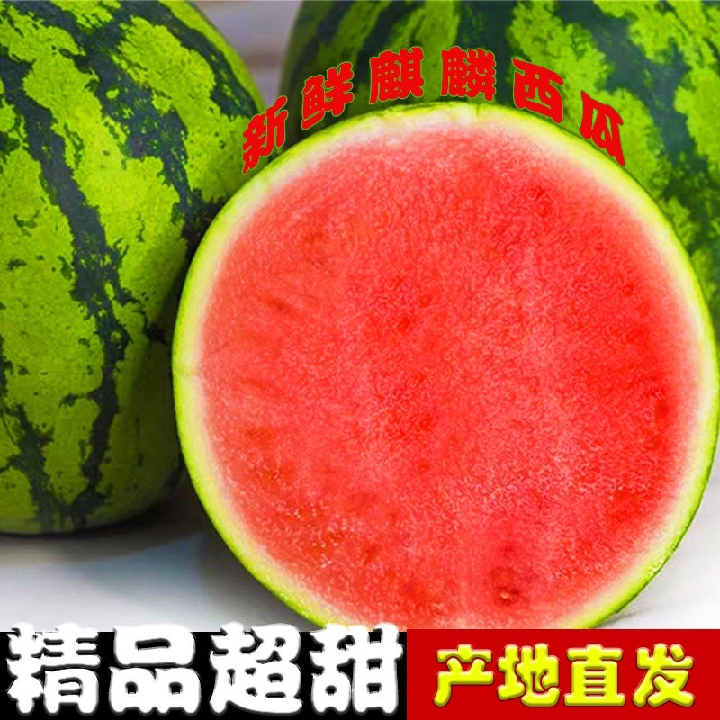 精品美都西瓜，产地直供市场，电商，商超。