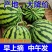 精品美都西瓜，产地直供市场，电商，商超。