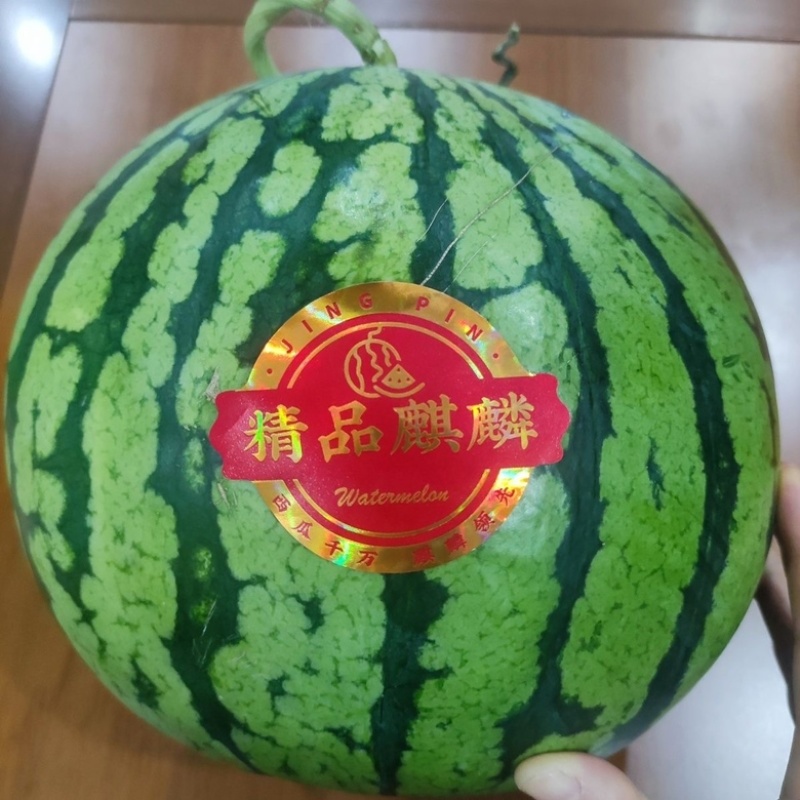 精品美都西瓜，产地直供市场，电商，商超。
