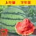 精品美都西瓜，产地直供市场，电商，商超。
