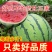 精品美都西瓜，产地直供市场，电商，商超。