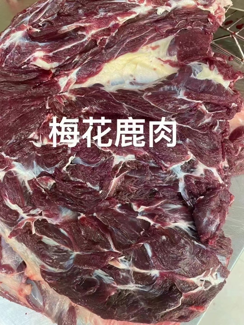 精品梅花鹿肉大量现货量大从优质量保证欢迎咨询