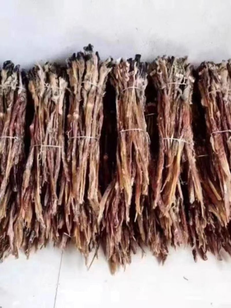 东北梅花鹿鹿筋大量批发一手货源品质保证欢迎咨询