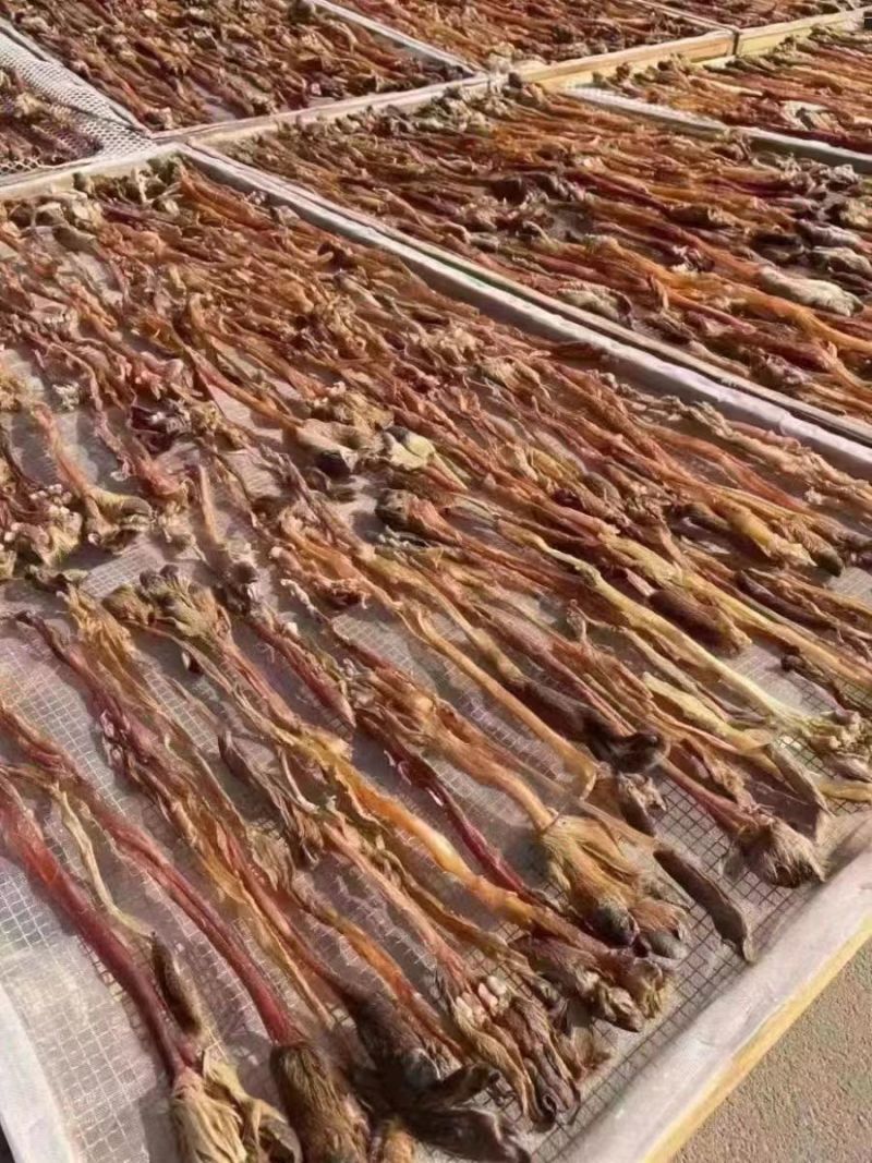 东北梅花鹿鹿筋大量批发一手货源品质保证欢迎咨询