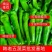 【精品】牛角椒山西应县新鲜辣椒尖椒产地直供量大质优