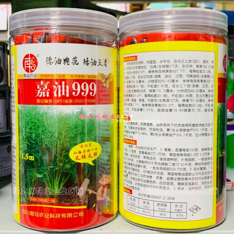 嘉油999油菜种籽榨油香油菜籽种子四川油菜种子含油量高