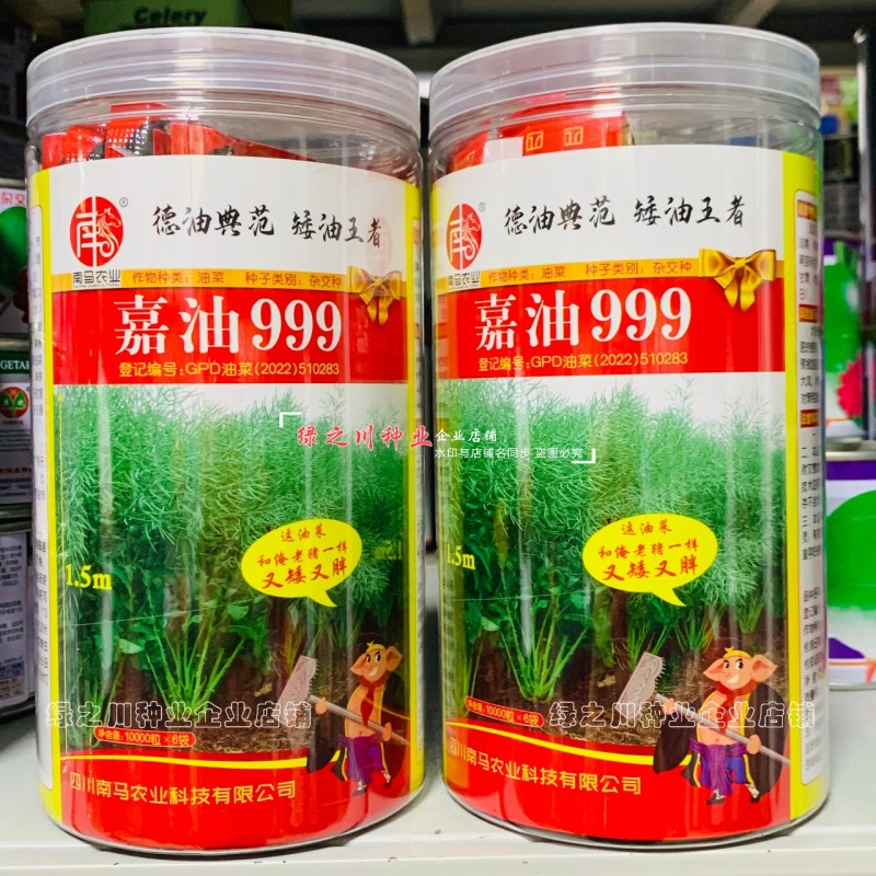 嘉油999油菜种籽榨油香油菜籽种子四川油菜种子含油量高