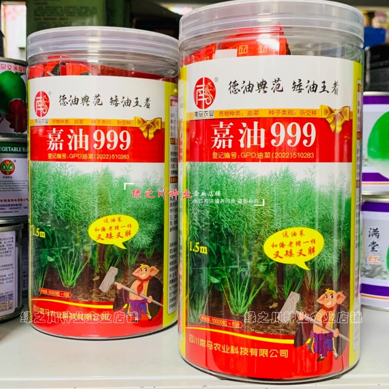 嘉油999油菜种籽榨油香油菜籽种子四川油菜种子含油量高