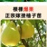 沙田柚树苗嫁接苗当年结果特大庭院果苗红心白心密柚苗