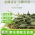 包邮车前草干野生车前草茶车前草金钱草茶整棵全草切片车轮菜