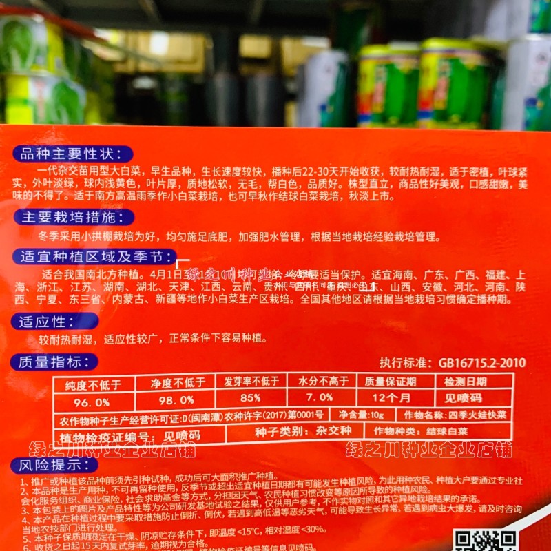 四季火娃快菜种子甜嫩美味速生小白菜种籽无毛快菜种子基地