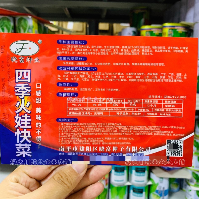四季火娃快菜种子甜嫩美味速生小白菜种籽无毛快菜种子基地