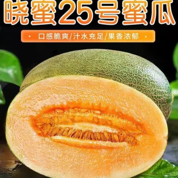 晓蜜25哈密瓜，民勤蜜瓜，大量现货供应可视频看货代发全国