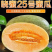 晓蜜25哈密瓜，民勤蜜瓜，大量现货供应可视频看货代发全国