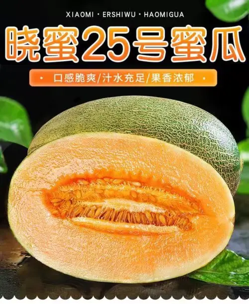 晓蜜25哈密瓜，民勤蜜瓜，大量现货供应可视频看货代发全国