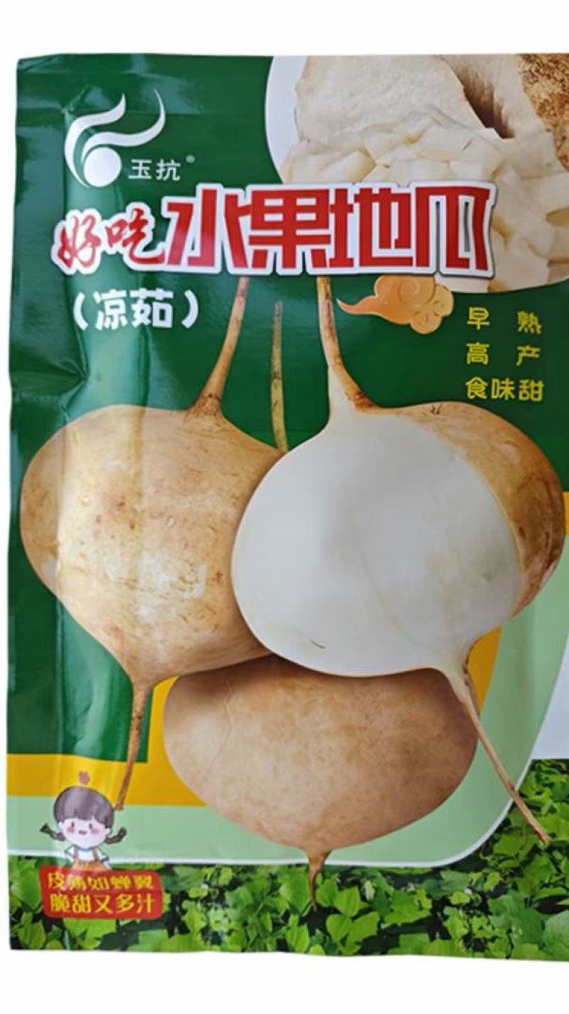 豆薯种子一点红双流牧马山凉薯地瓜早熟产量高脆甜爽口