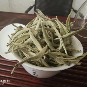 源头茶农！一手货源！欢迎询价下单……