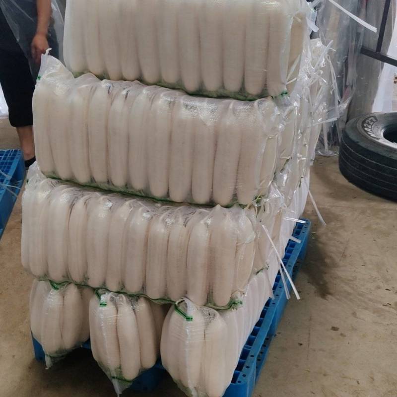 白萝卜精品基地大量供应，质量保证，每天可发100吨以上。