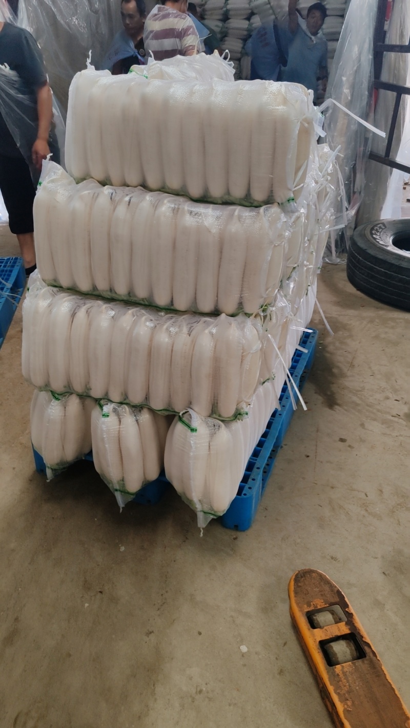 白萝卜精品基地大量供应，质量保证，每天可发100吨以上。