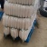 白萝卜精品基地大量供应，质量保证，每天可发100吨以上。