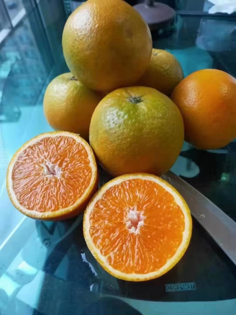 夏橙产地一手货源一件代发社区团购整车配送等