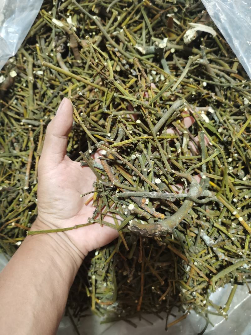 寄生，螃蟹脚干货包邮，品质货，一分钱一分货