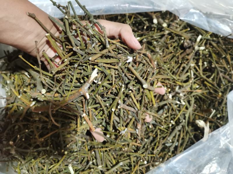 寄生，螃蟹脚干货包邮，品质货，一分钱一分货