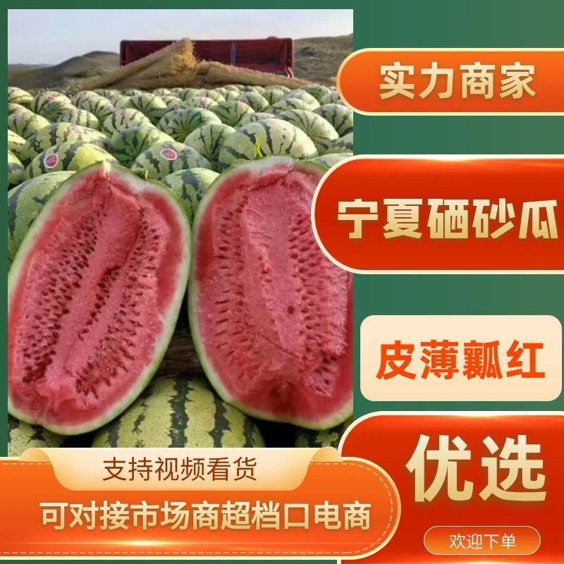 【代发全国】宁夏硒砂瓜精选山脚下万亩优质硒砂瓜专业团队
