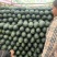 黑美人西瓜🍉口感甜、瓜型好、货源充足、欢迎来电