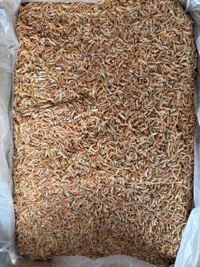 白虾干麦干虾颜色好干度9成颜色亮