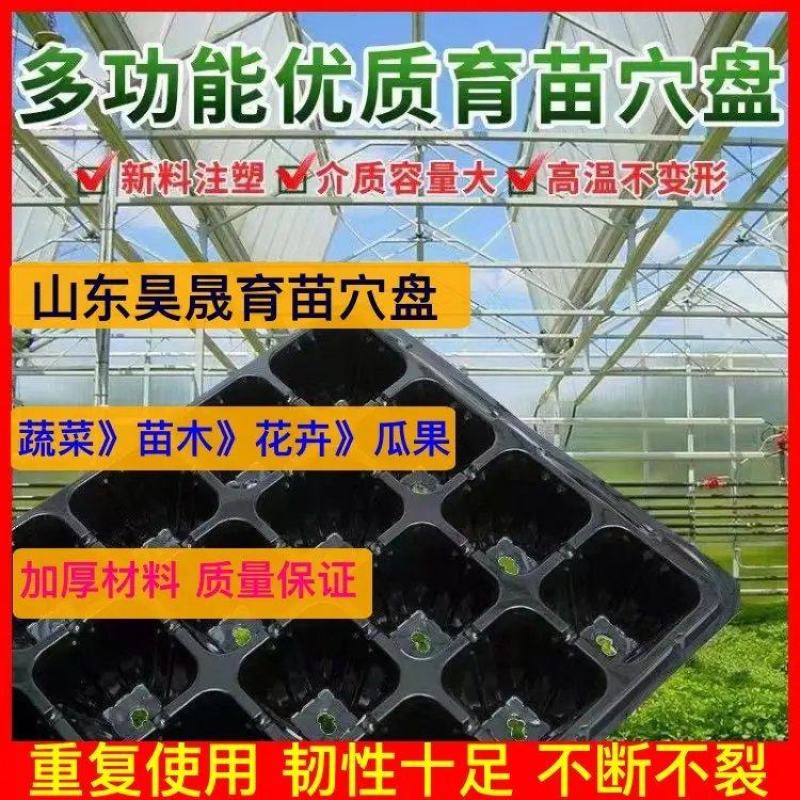【优质厂家】果蔬育苗穴盘，厂家发货，批发，规格齐全