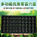 【厂家直发】育苗穴盘，穴盘多功能穴盘，经久耐用