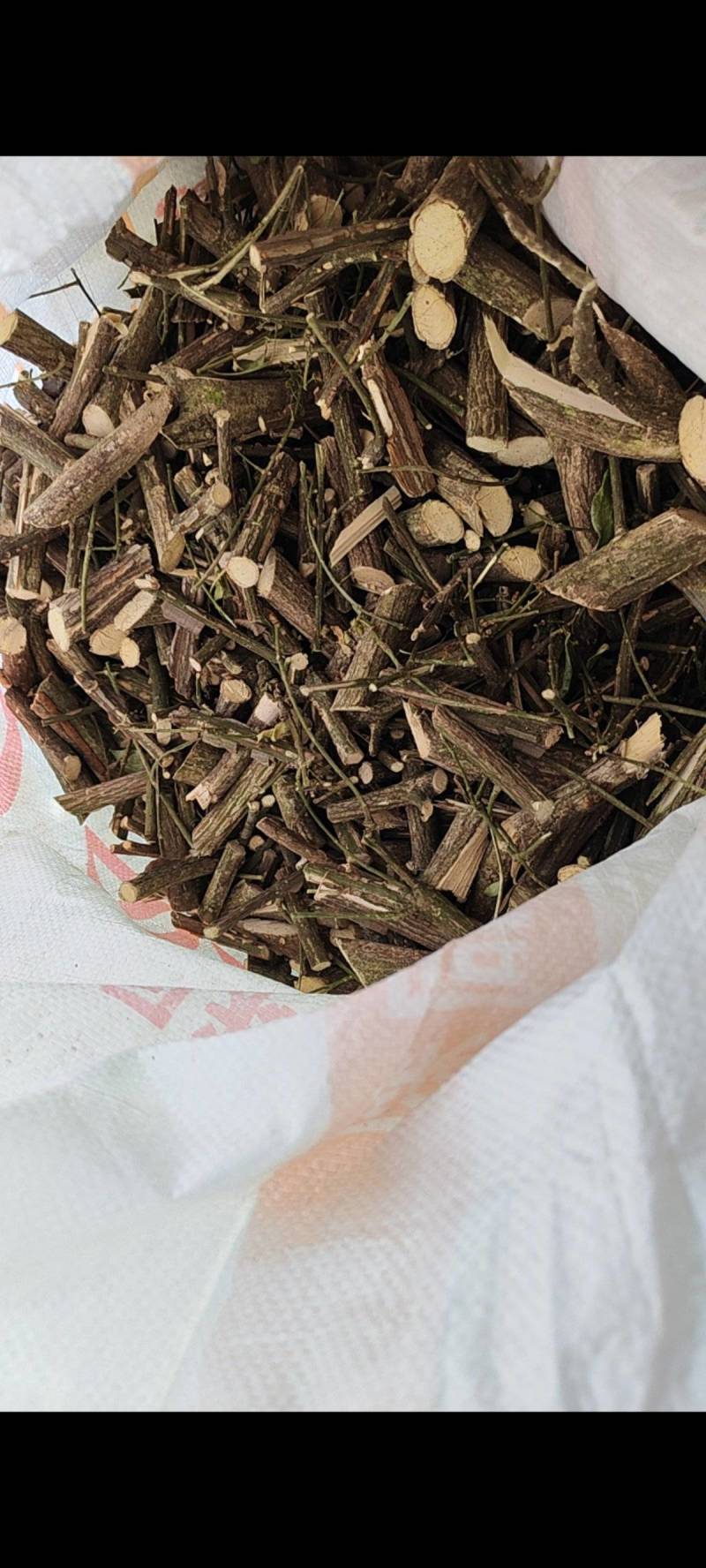 鬼箭羽选货片