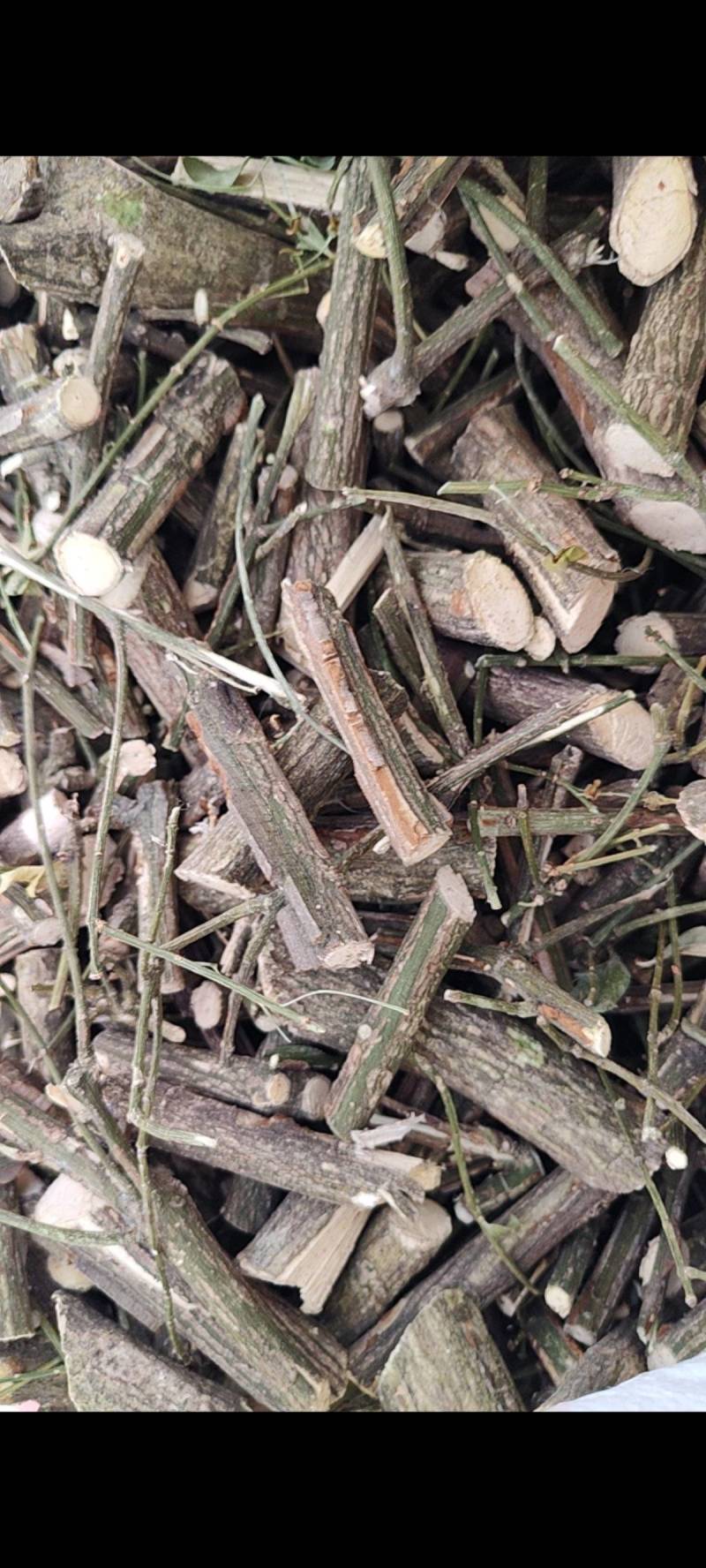 鬼箭羽选货片